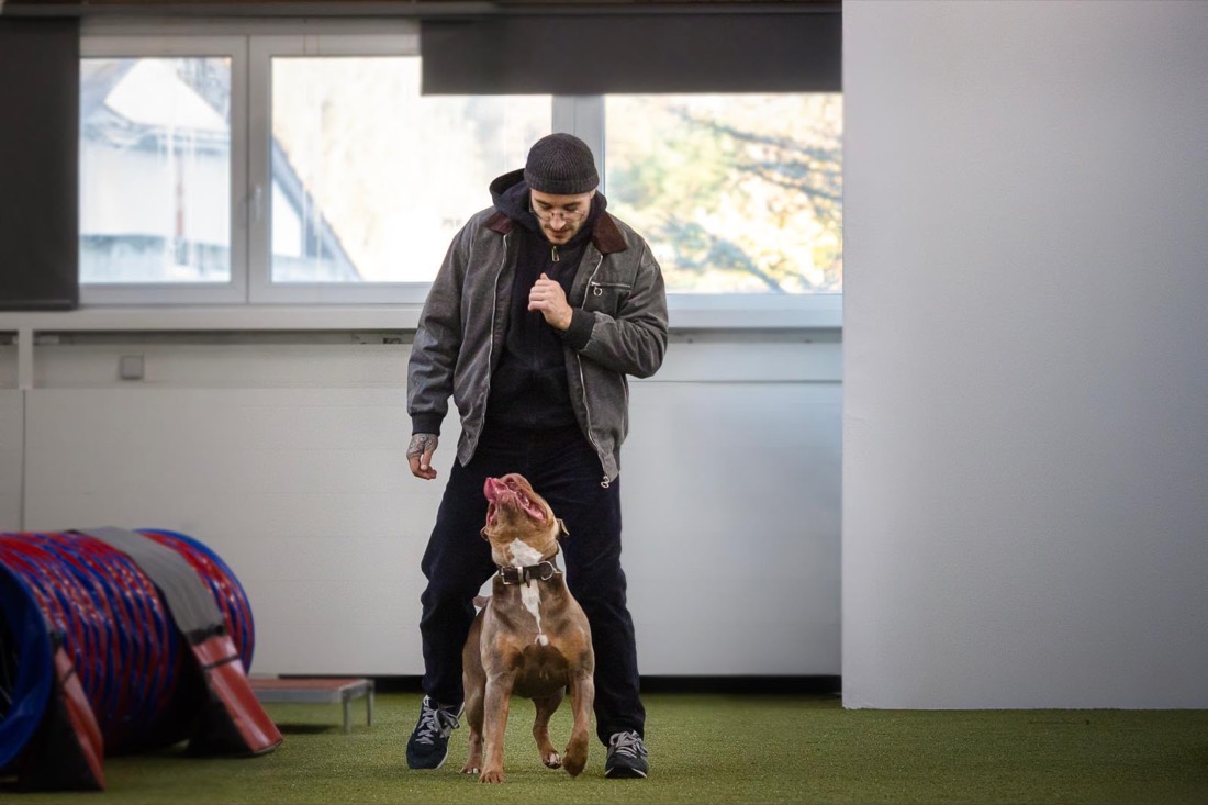 Verhaltenstraining bei K9 Switzerland Basel, Arbeit am Hund mit Verhaltensproblemen
