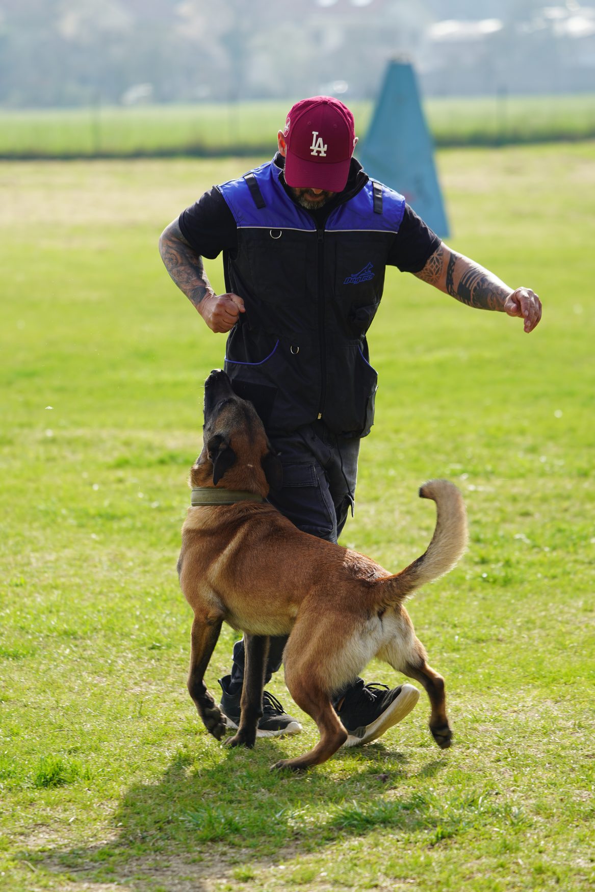 Marcel Cannon arbeitet auf dem Trainingsplatz in Bewegung mit seinem Malinois, der ihm konzentriert am Bein folgt