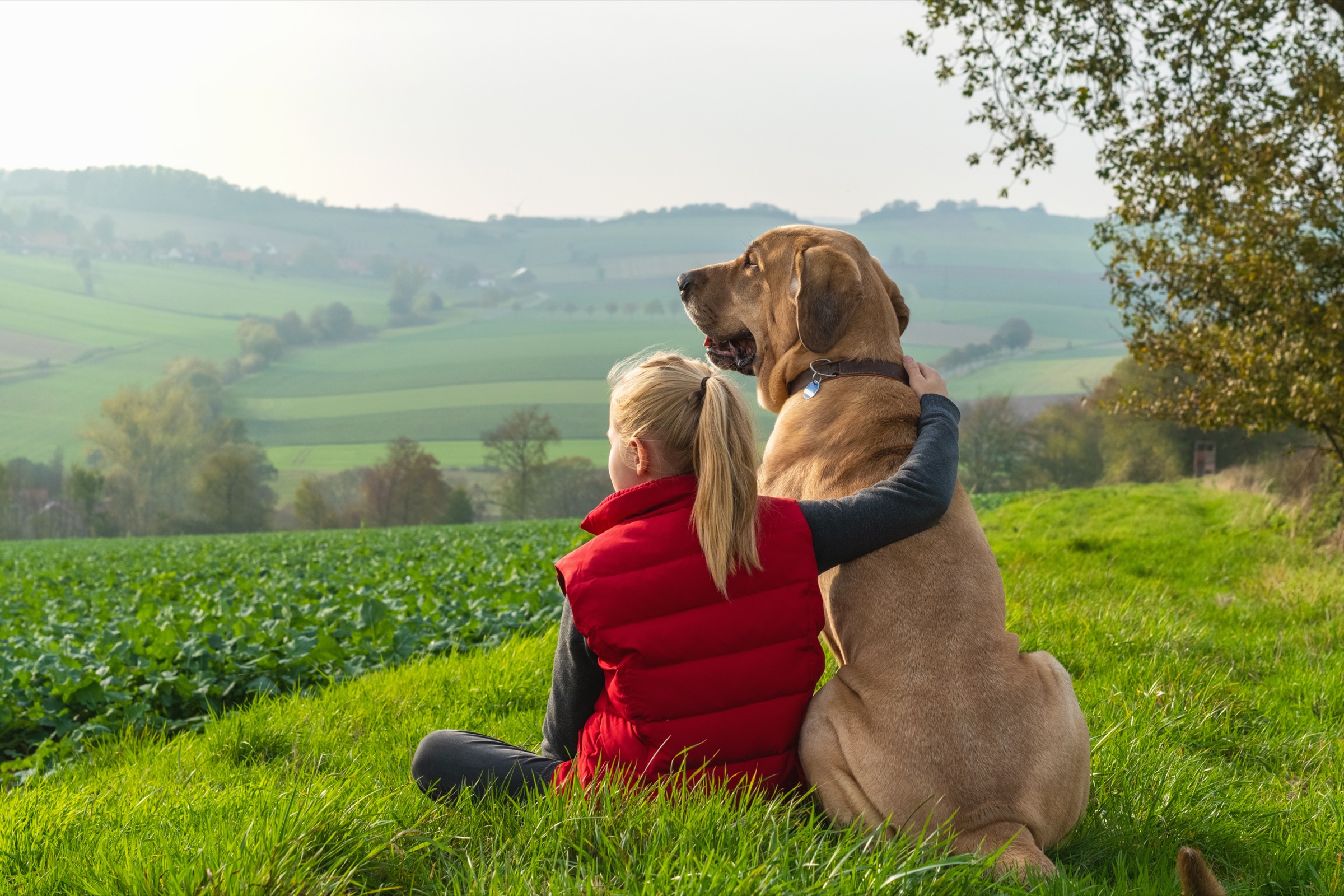 Mensch und Hund sitzen nebeneinander im Gras und blicken über die Hügellandschaft