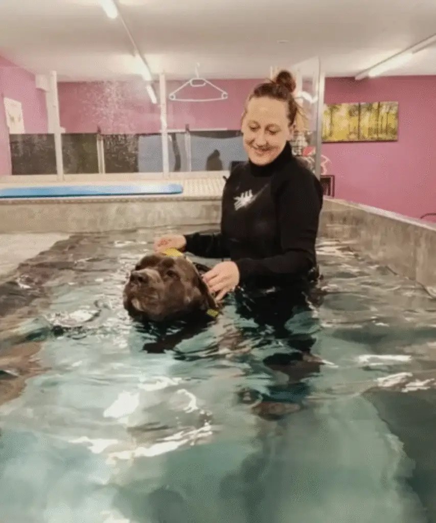 Petra Morel — Gründerin & Hundephysiotherapeutin